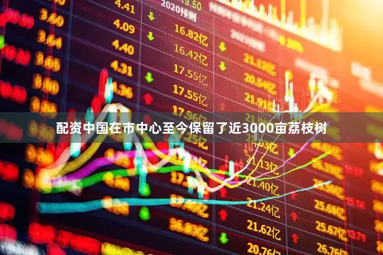 配资中国在市中心至今保留了近3000亩荔枝树